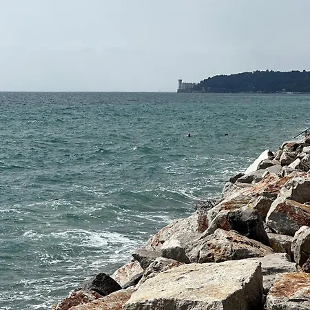 Stylish Seaside With Garden & Gulf Views アパート *